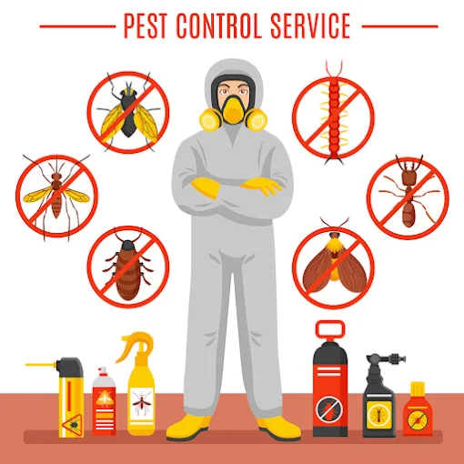 Hornet Pest Control Services Delhi