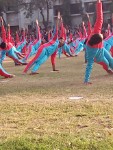 The Mother's International School